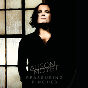 Reassuring Pinches cover