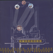 The Swirlies: They Spent Their Wild Youthful Days in the Glittering World of the Salons