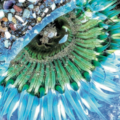 Andy Fischer-Price: Lujah