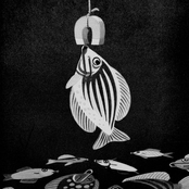 Day, Time Variations