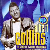 Tongue Lashing by Albert Collins