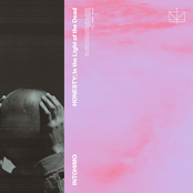 HONESTY; In the Light of the Dead