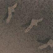 Electro, Disco, Weirdo