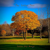 Scottish Songs Observed, Vol. 1