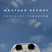 Predator by Weather Report