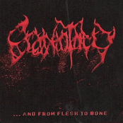 ...And From Flesh To Bone