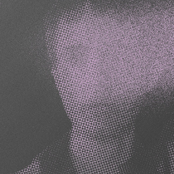 Public Circuit: Pictures