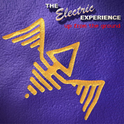 Strange Days by The Electric Experience