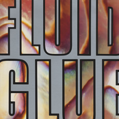 Closet Case by The Fluid