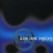 What I Said by Alien Crime Syndicate