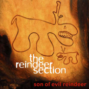 You Are My Joy by The Reindeer Section