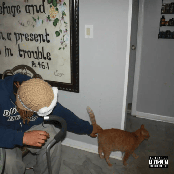 nothing comes from nothing