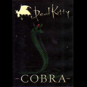-COBRA-