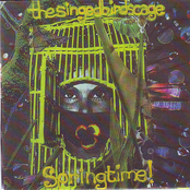 The Singed Birds Cage - Springtime!!!
