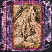 Cafe Flesh