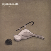 One Little Smile by Cracklin Moth