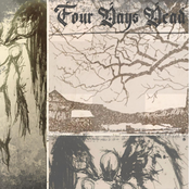 A Symphony in Silence