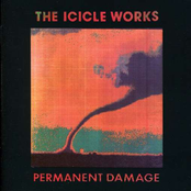 One Good Eye by The Icicle Works