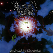 Autumn Leaves: Embraced By The Absolute