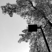 The Monkey Pleasure EP