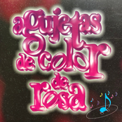 Agujetas De Color De Rosa