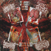 Pathological & Forensick Necrobrain Surgery 4-Ways