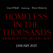 Homeless In The Thousands (Dublin In The Digital Age)