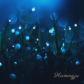 Hamingju - Single