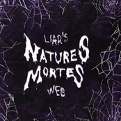 Liar's Web - Single
