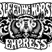 bleeding horse express