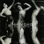 I Love No by Terror Bird