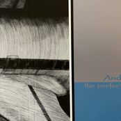 The Perfect Stranger