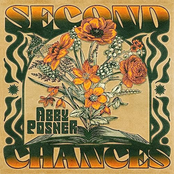 Abby Posner: Second Chances