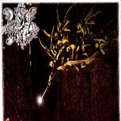...With the Fallen Angels...