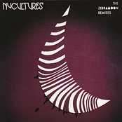 The Zebramoon Remixes