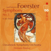 Foerster: Symphony No.5, 'In den Bergen'