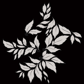 Suspensa Momenta Quintae Essentiae