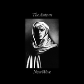 Home Again by The Auteurs