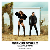 Indestructible - Single