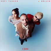 COOK - Single