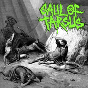 Saul Of Tarsus/Wickeds End Split
