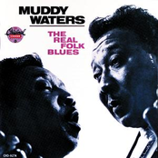 Canary Bird by Muddy Waters