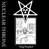 Dog Prophet