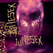 Junesex - So Fucking Chic