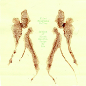 Sphinx of Black Quartz, Judge My Vow