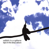 Earthworms In The Abattoir by Rabbit Is A Sphere