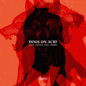 Dogs On Acid