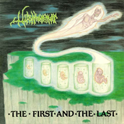 Witchhammer: The First and the Last
