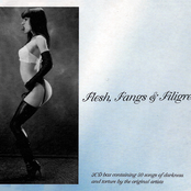 Flesh, Fangs & Filigree