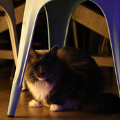 Your message could not be delivered.